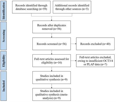 OCT3/4 is a potential immunohistochemical biomarker for diagnosis and prognosis of primary intracranial germ cell tumors: a systematic review and meta-analysis